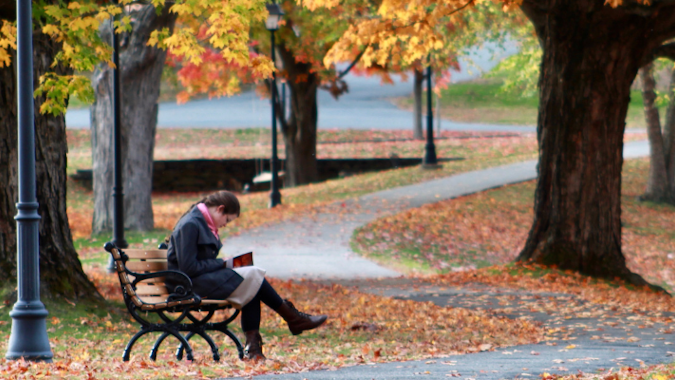 Student reading on the New England campus