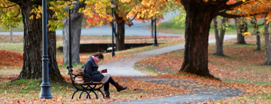 Student reads on a bench